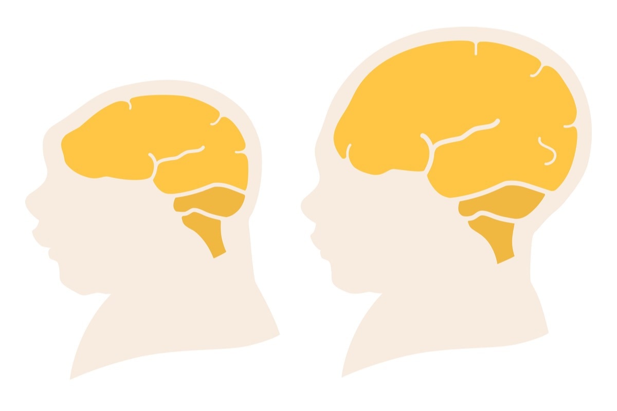 Image Credit: juliawhite/Shutterstock