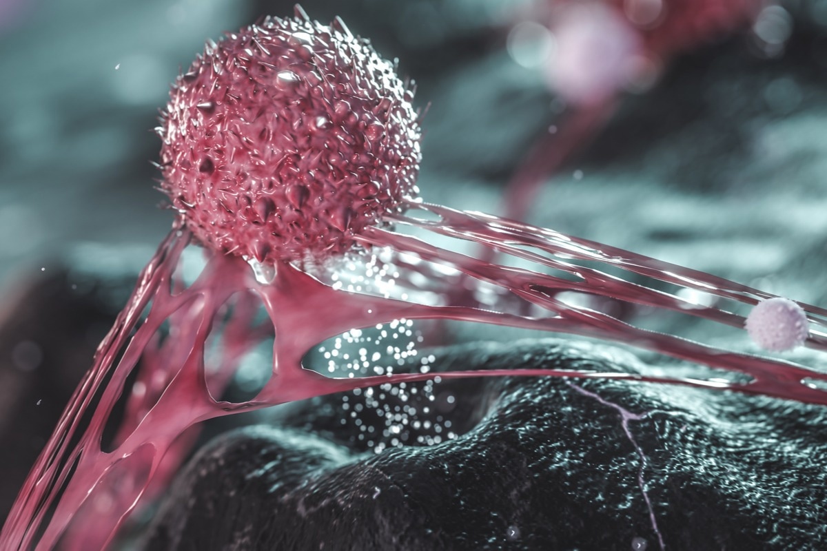 Image Credit: CI Photos/Shutterstock.com