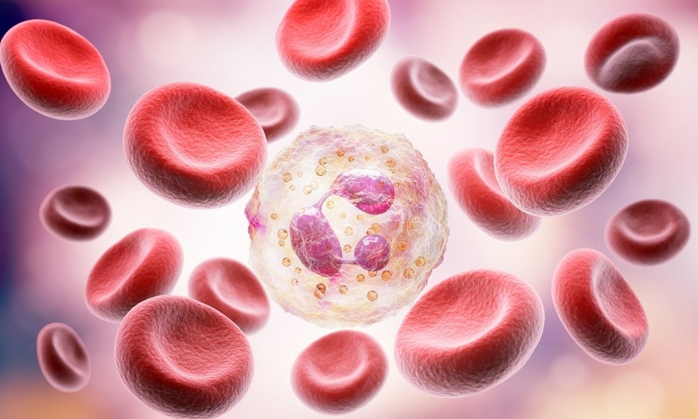 Image Credit: Anusorn Nakdee/Shutterstock.com