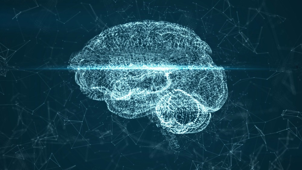 Image Credit: SquareMotion/Shutterstock.com