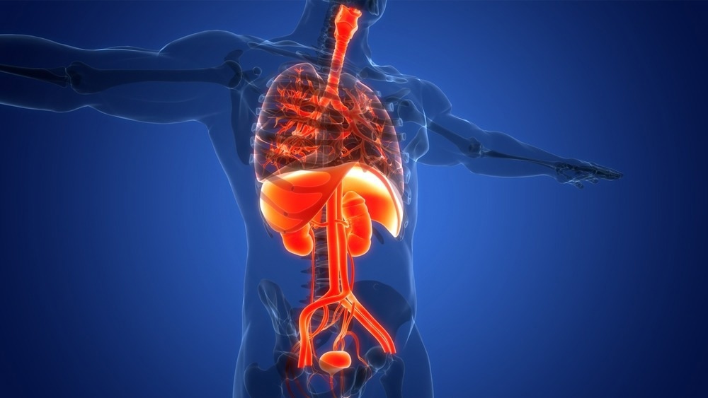 Image Credit: Magic mine/Shutterstock.com