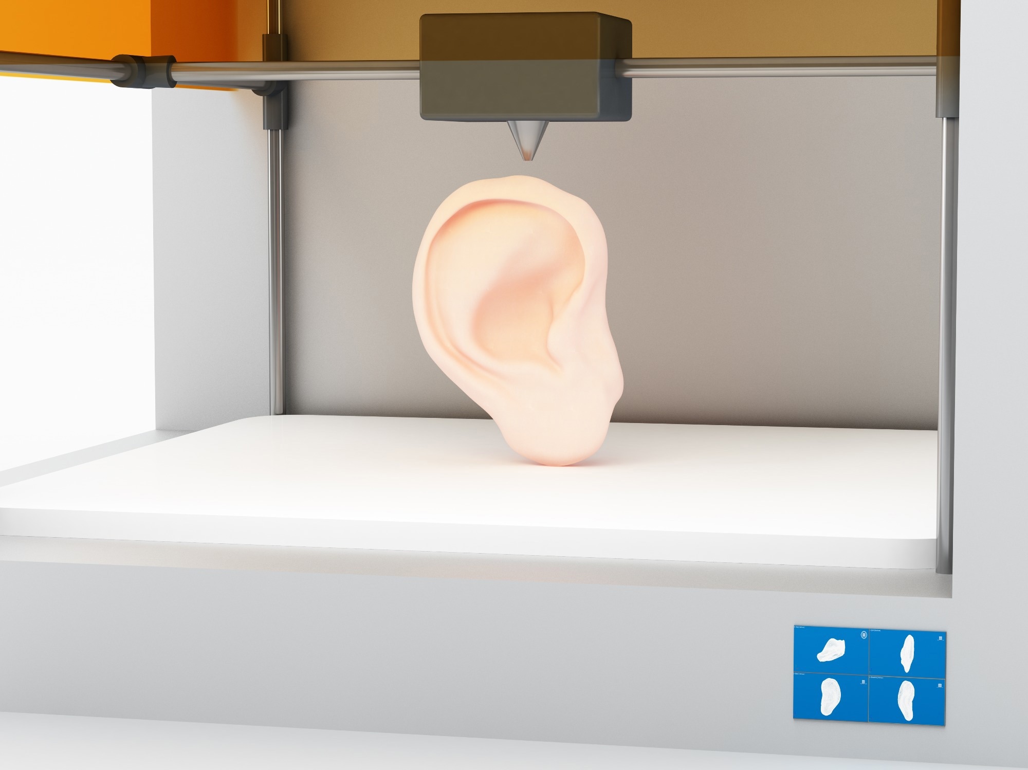 ​​​​​​​Image Credit: belekekin/Shutterstock.com