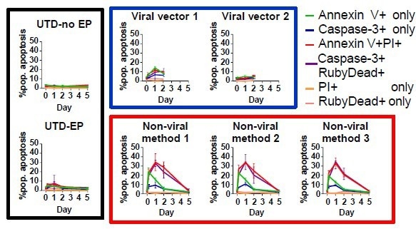 Developing image-based T-cell assays for monitoring apoptosis and CAR expression