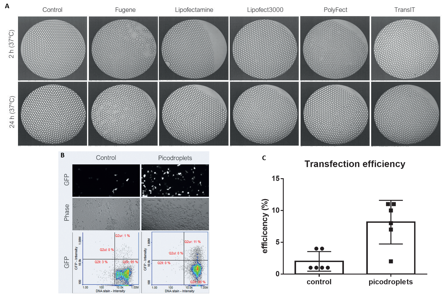  A) Compatibility of picodroplets with different transfection reagents. B) Cells transfected with DNA (GFP)/Lipofectamine 3000 in picodroplets C) 4 x increase in transfection efficiency in picodroplets vs control. 
