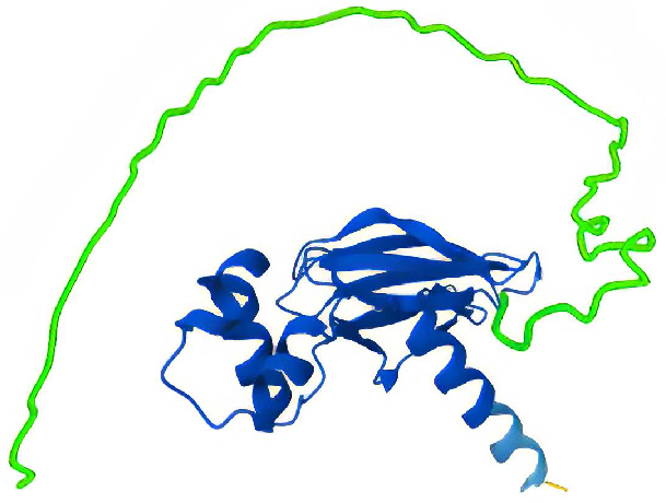 Structure of full-length VHL. In green, residues 1-57 that was removed in construct VHL Δ1-57