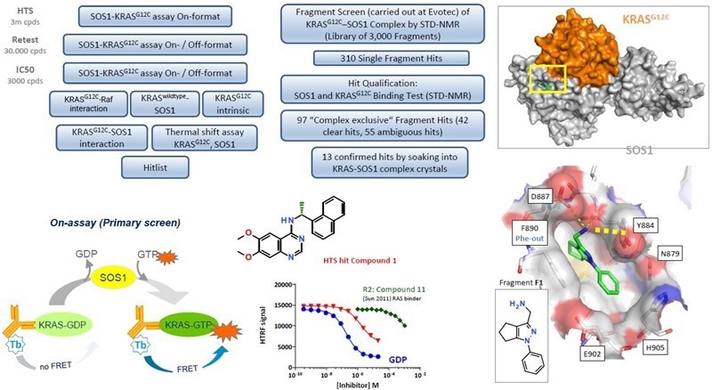 Finding success in biochemical screening and cell-based pathway screening