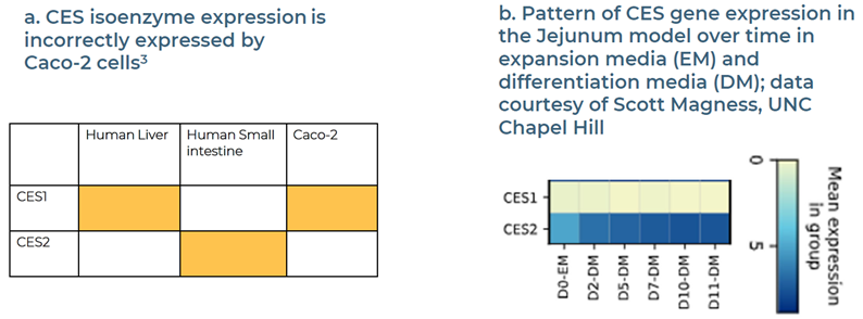 Case studies: profiling bioavailability on carboxylesterase (CES) mediated compounds