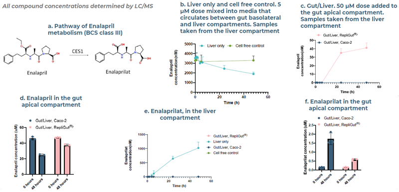 Case study 1, Enalapril: greater resistance to intestinal clearance observed in primary cell Gut/Liver MPS, correlates with isoenzyme expression in the human intestine