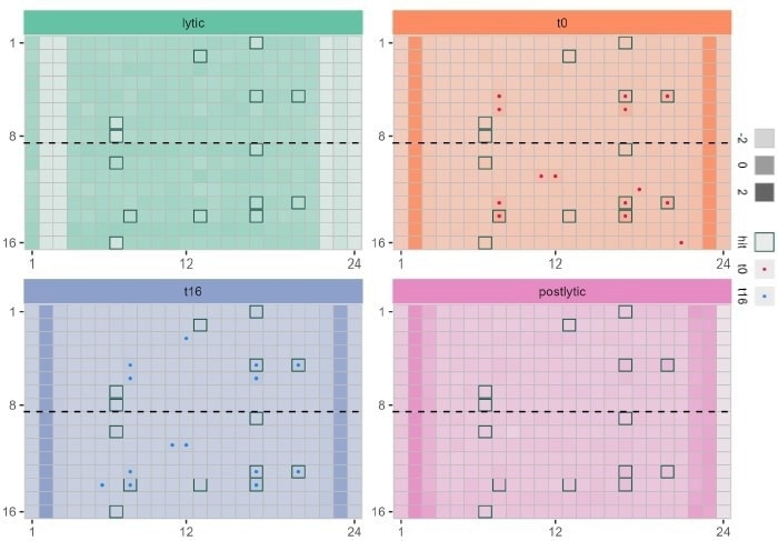 Application of multiplexed bioluminescent assay in 384 well plate to monitor protein degradation (red) compound toxicity immediately after adding to cells (blue) and compound toxicity after incubation with cells for 21 h ..(green) and monitoring the uniformity of cell lysis in all wells (purple) Wells with border indicate top 20 wells with low HiBiT LgBiT bioluminescent signal