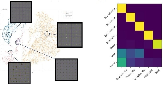 Image-enabled cell sorting for cellular drug response detection: A machine learning platform for indication discovery