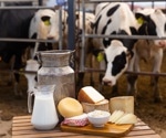 Dairy and Gut Health: The Good, the Bad, and the Controversial