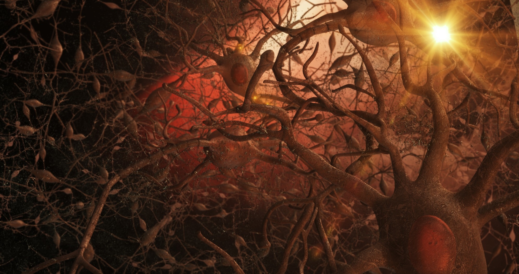 Illustration of neurons within the brain. Image Credit: 3Dme Creative Studio / Shutterstock