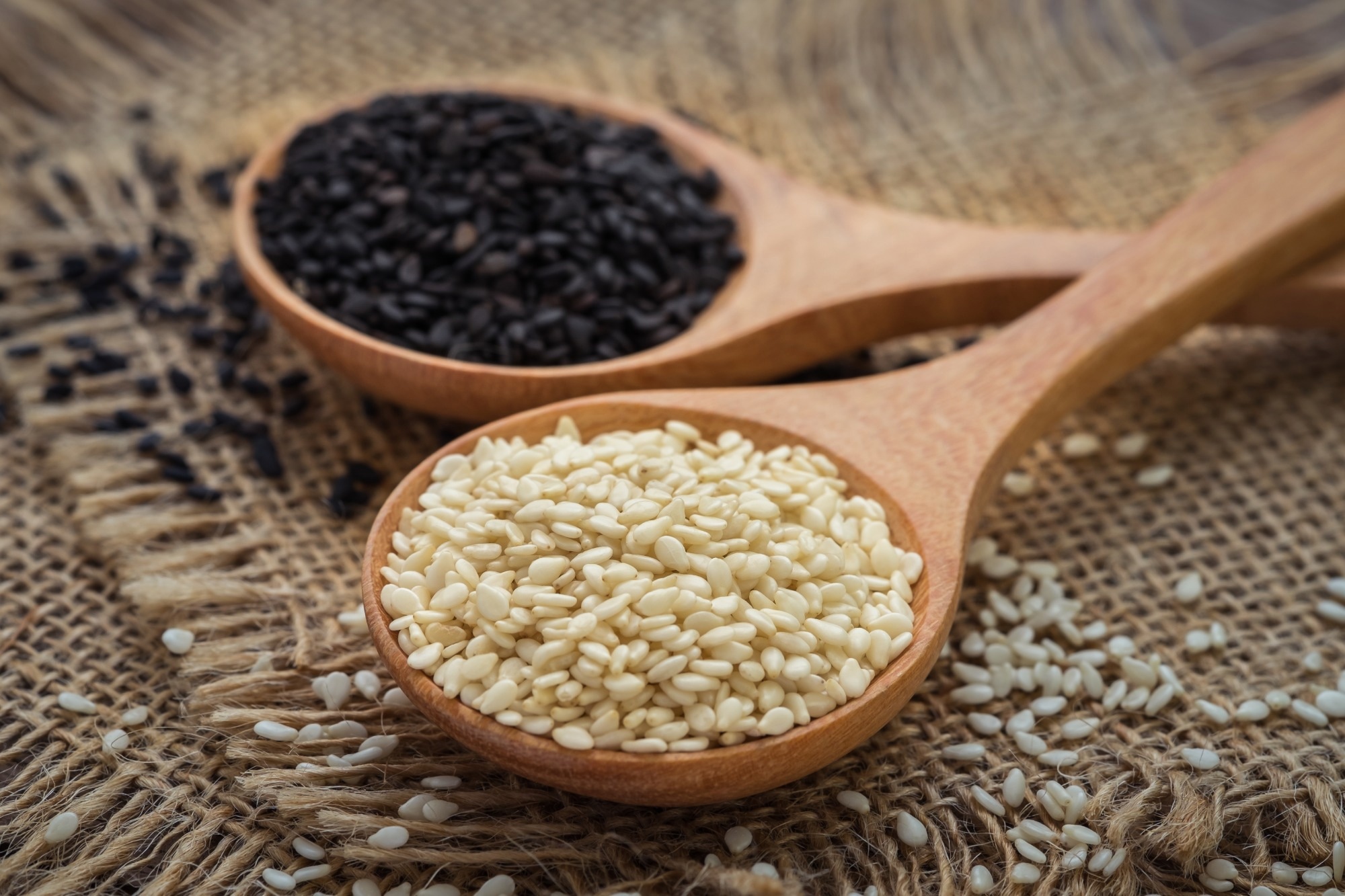 Sesame (Sesamum indicum) Image Credit: Amarita / Shutterstock.com