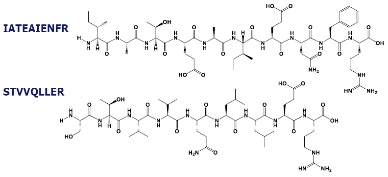 Targeted proteomics for accurate P-glycoprotein quantification