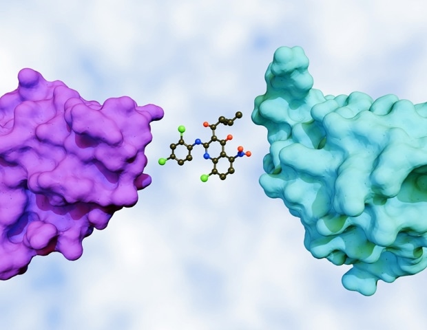 The Rise of Molecular Glues: A New Class of Smart Cancer Drugs