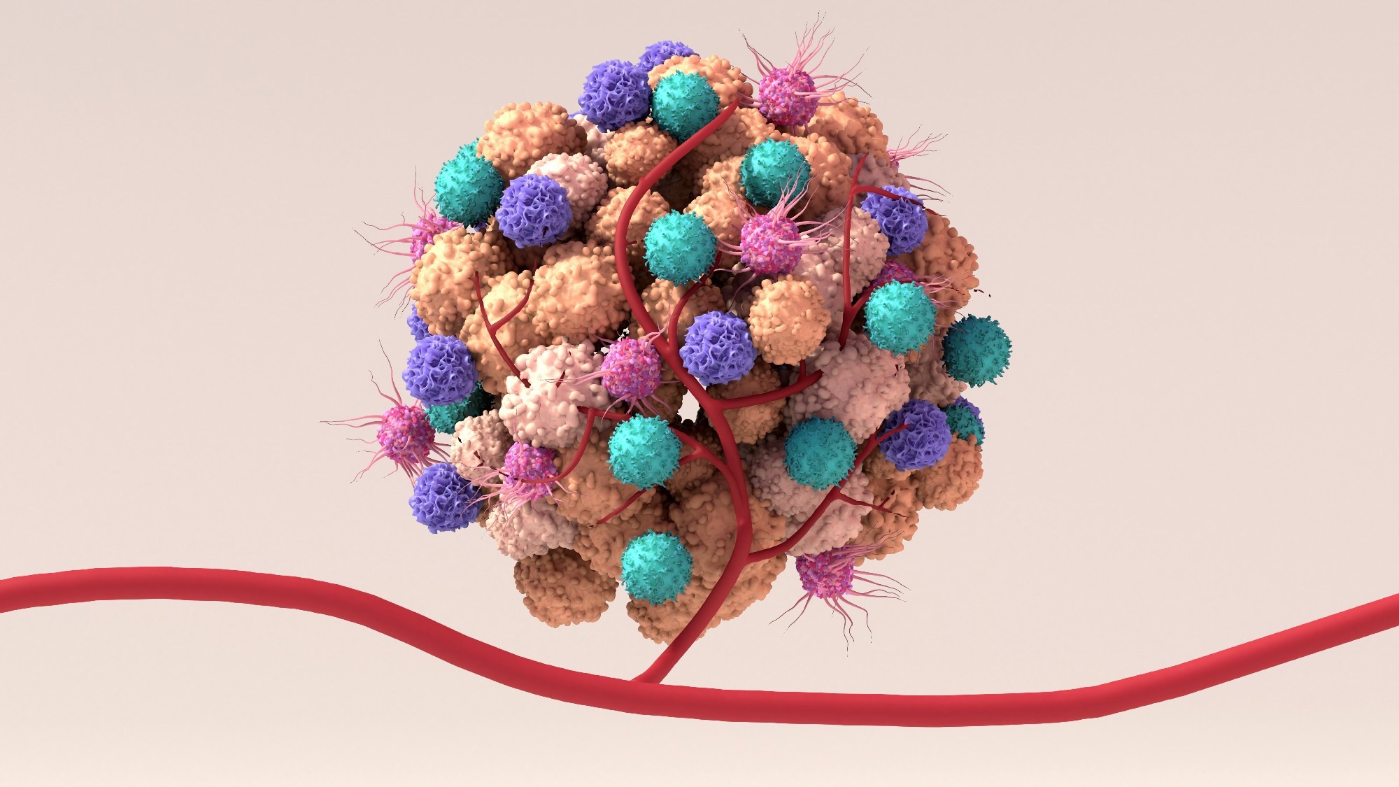 Tumor microenvironment, normal cells, molecules, and blood vessels that surround and feed a tumor cell. Microenvironment can affect how a tumor grows and spreads. 3d illustration