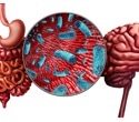 The Gut–Brain–Skin Axis: How Diet and Gut Health Influence Mood, Skin, and Aging
