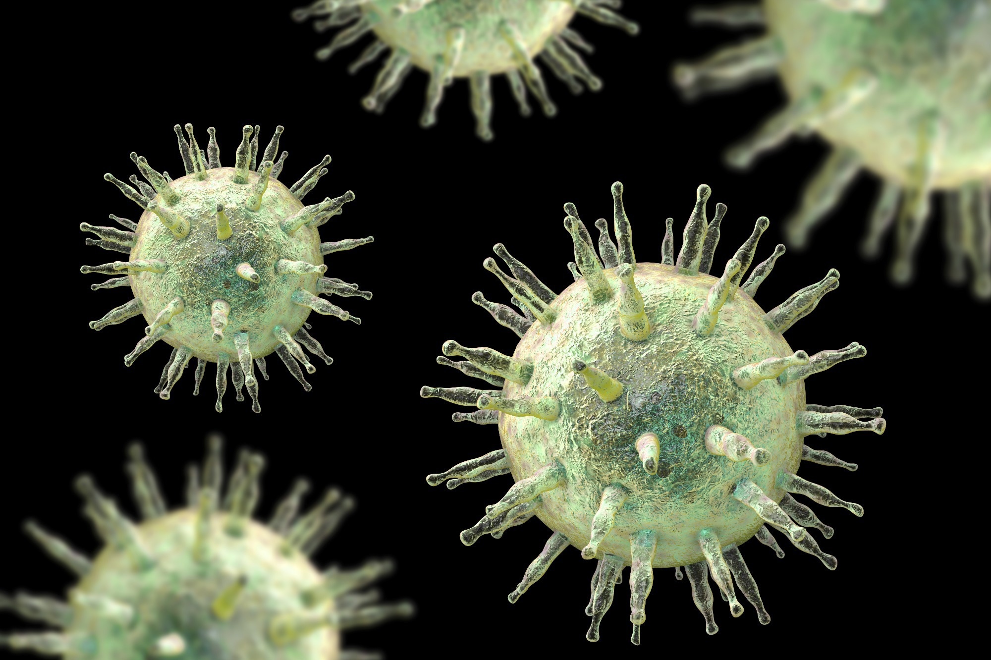 Epstein-Barr virus EBV. Image Credit: Kateryna Kon / Shutterstock