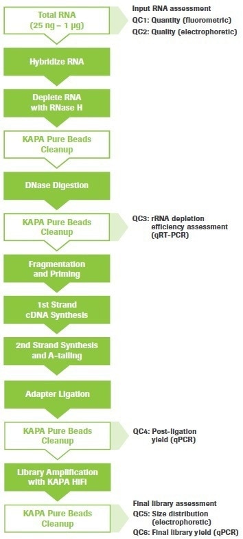 Top tips for RNA-sequencing that involves degraded inputs