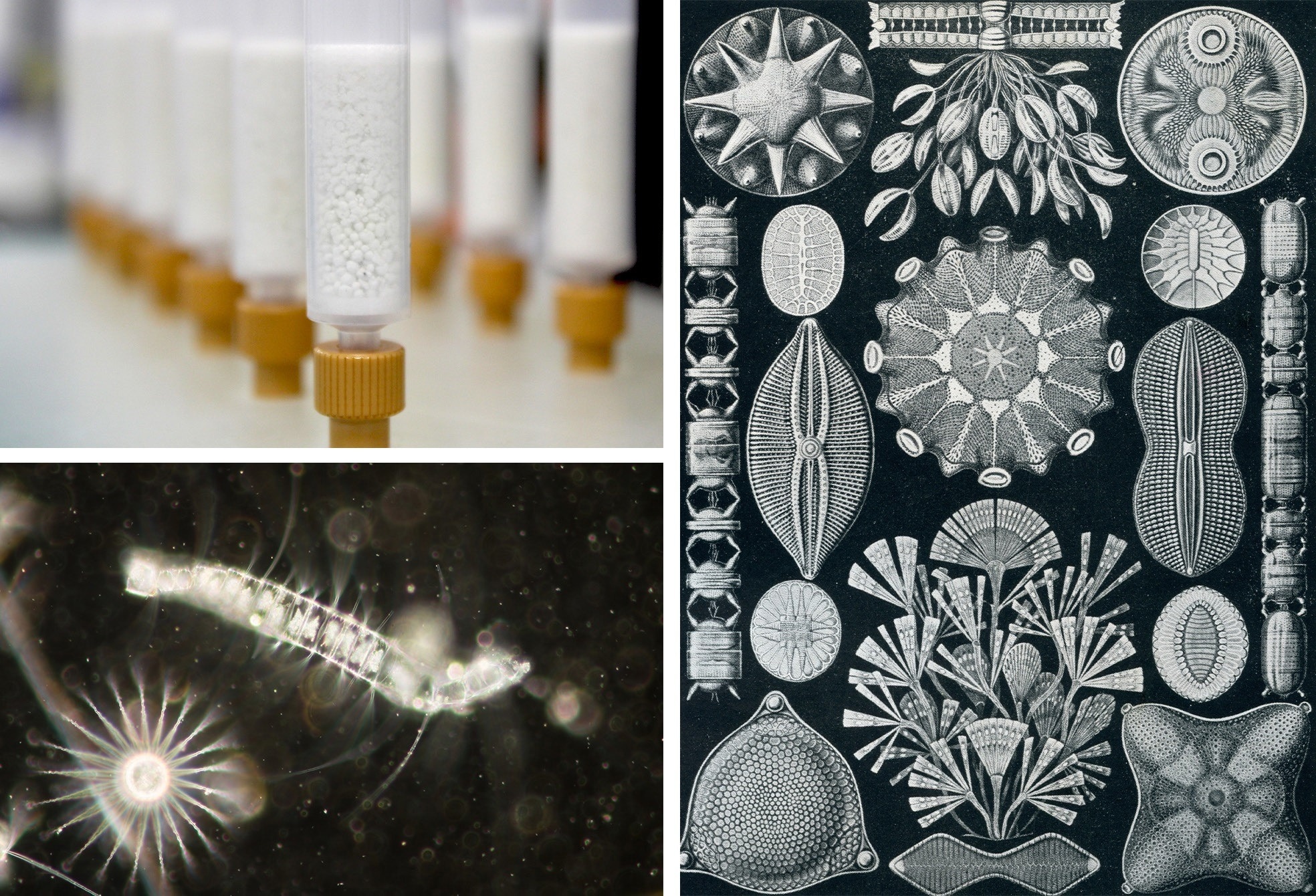 Sample preparation via Supported Liquid Extraction Vs. Liquid Liquid Extraction