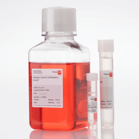 Cancer stem cells and their relation to tumor biology