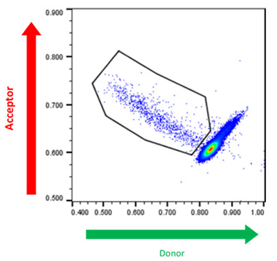 Cyto-Mine® Scatter Plot. FRET signal generated from hybridomas encapsulated in picodroplets and screened for secretion of human TNF-alpha specific IgG.