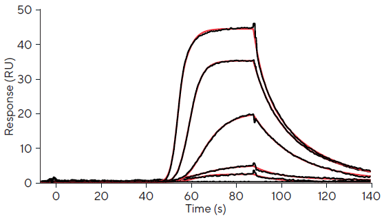 Assessing small molecule kinetics and affinity through SPR screening