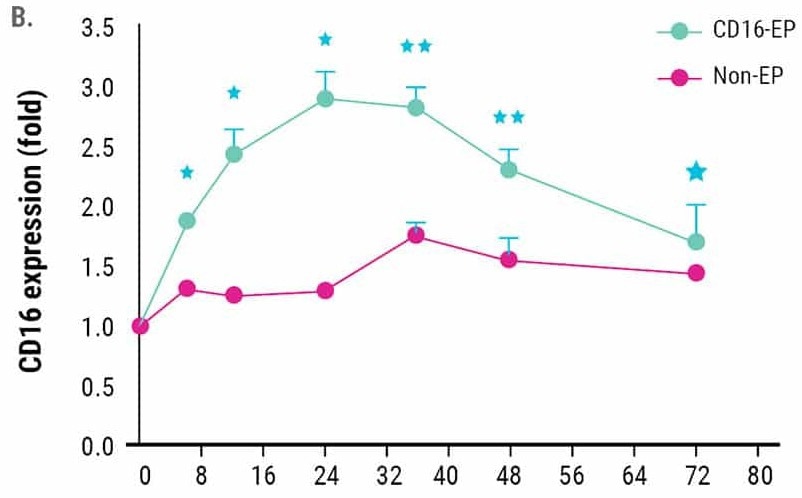 Role of NK cells for enhanced combination therapy to treat B-cell lymphoma