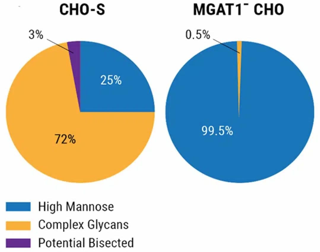 CHO cell CRISPR Engineering for enhancing HIV-1 vaccine efficacy