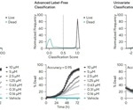 Cell morphology subpopulation classification in a label-free method