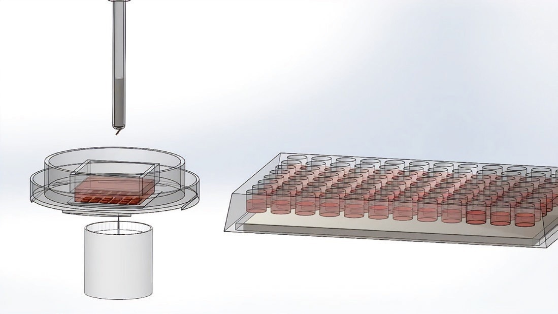 Overcoming the challenges of limiting dilution