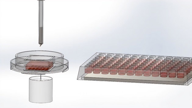 How to automate cloning for CRISPR workflows