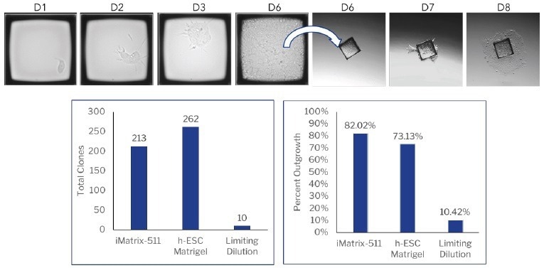 How to make iPSC cloning more efficient?