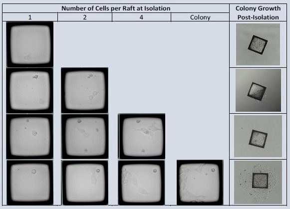 How to accelerate the use of iPSCs in drug development