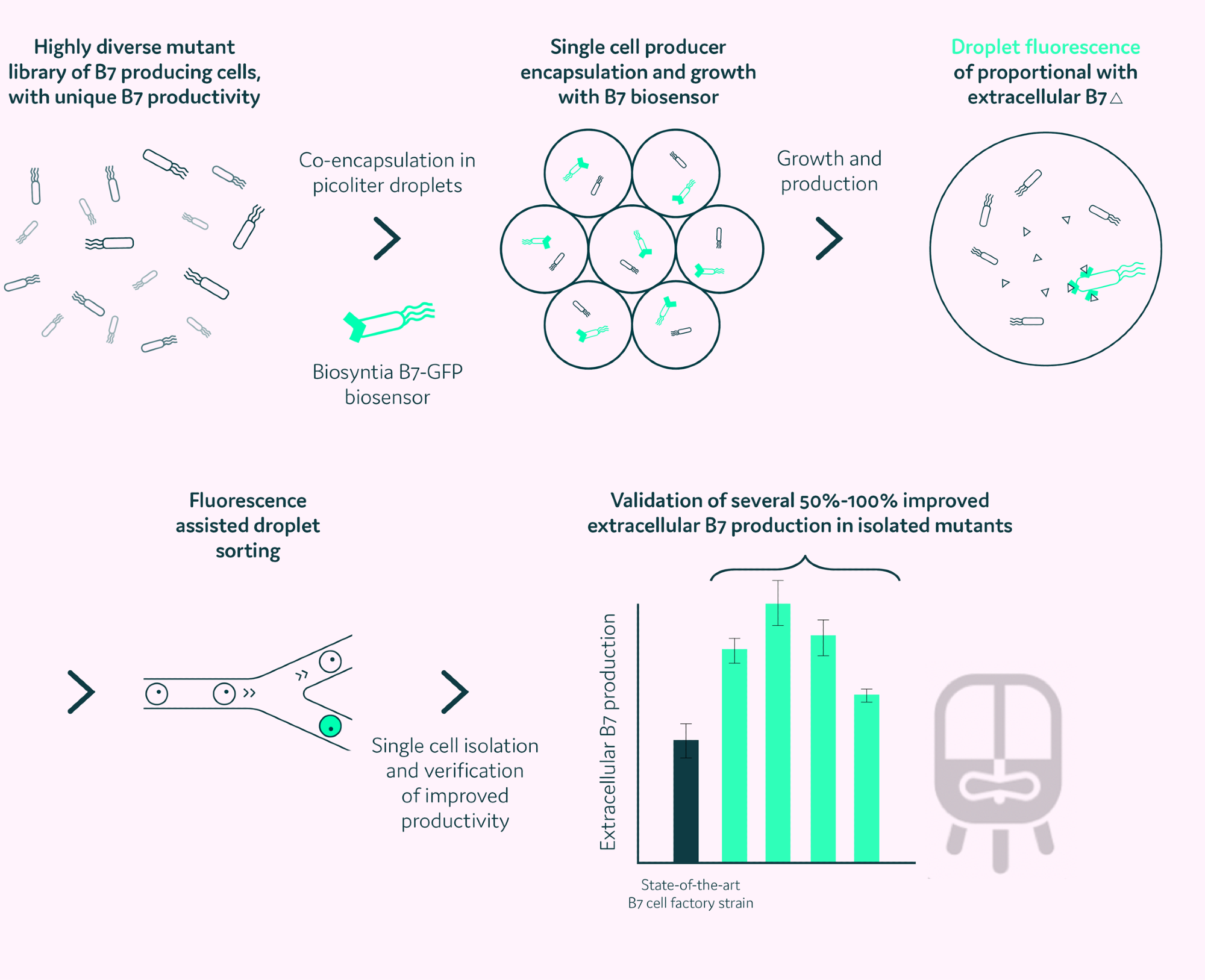 Biosyntia’s updated workflow integrating Pico-Mine®, with their proprietary B7 biosensor has enabled them to rapidly identify improved genetic variants of their already world-leading B7 production strain.