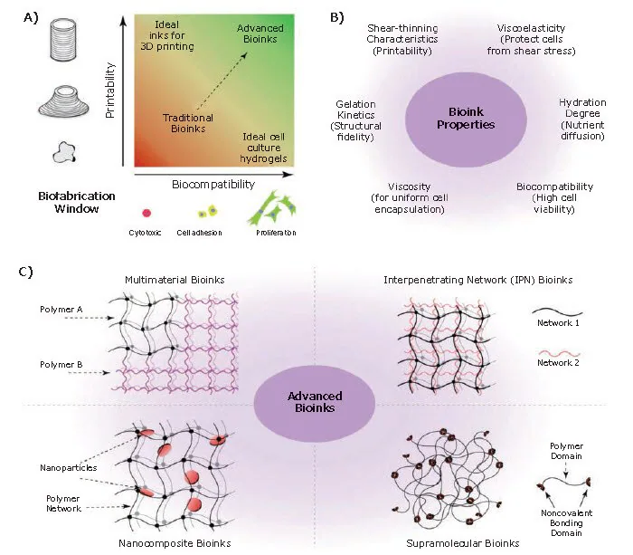 Bioinks for 3D bioprinting