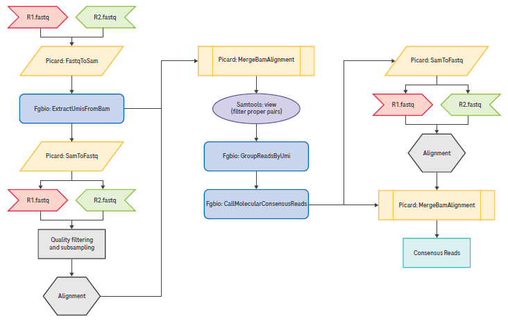 Recommended pipeline for UMI extraction, grouping, and consensus read calling.