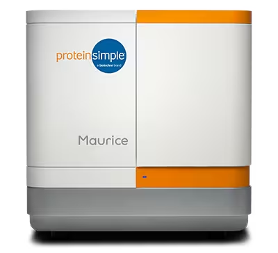 Adeno-associated virus characterization