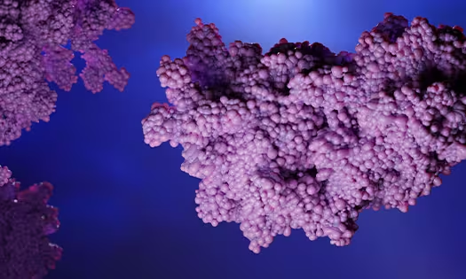 Adeno-associated virus characterization