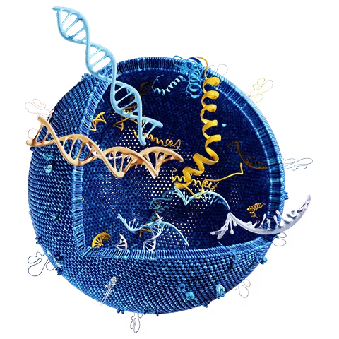 Adeno-associated virus characterization