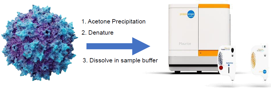 Characterize viral vectors easily