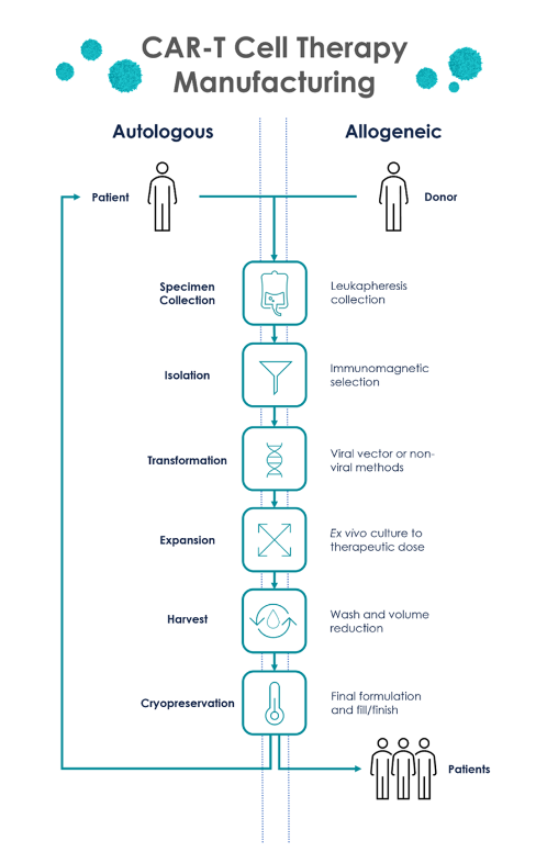 Exploring the history and potential of CAR-T cell therapies