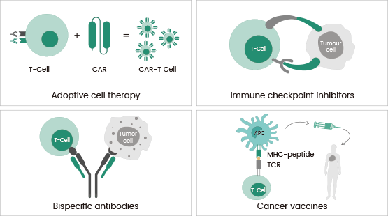 Major types of immunotherapy.