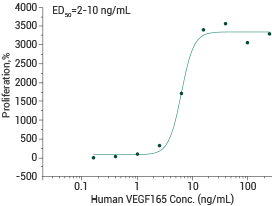 Measured in a cell proliferation assay using human umbilical vein endothelial cells (HUVEC).