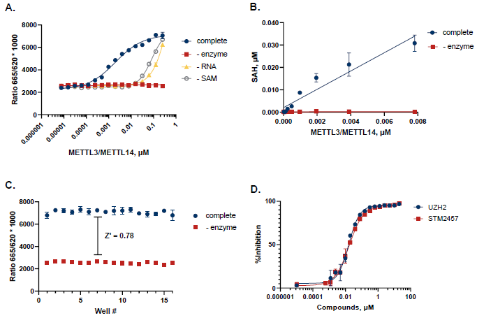 Case Study for METTL3/METTL14. A. METTL3/METTL14 was titrated in the presence of 250 nM SAM and 1 µM ssRNA Oligomer. The sequence of the ssRNA is 5’- GUUGCCUGUUCGUGUUGGACUUGCCUGU-3’. Reactions were incubated at 30 °C for 2 hours. B. TR-FRET values were converted to SAH production to assess reaction progress. C. A Z’ of 0.78 was obtained (n=16) for an initial velocity reaction (7.5 nM METTL3/METTL14, 2 hours). D. Dose response curves with known probe inhibitors UZH2 and STM2457 showed IC50 values of 16 nM and 17 nM, respectively.
