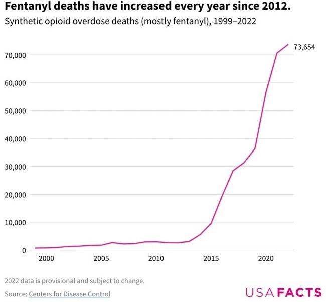Synthetic opioid overdose deaths (mostly fentanyl) in the U.S. over the period of 1999–2022 [7].