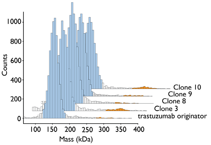 Mass photometry mass histogram of trastuzumab originator (Herceptin®) and trastuzumab-producing CHO clones