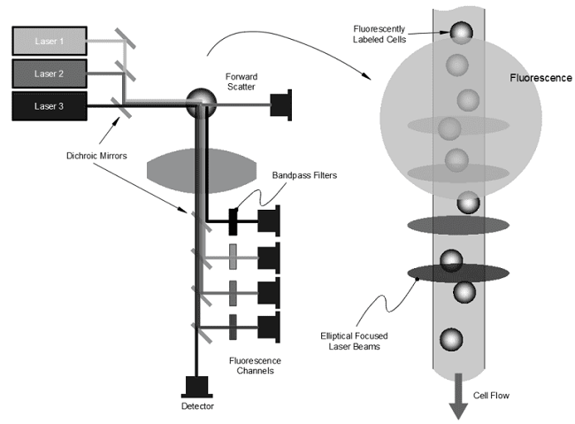 Improve Flow Cytometer SNR involves looking at each of the optical components