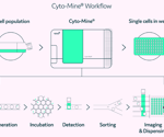 How to detect human IgGκ and λ using Cyto-Mine®