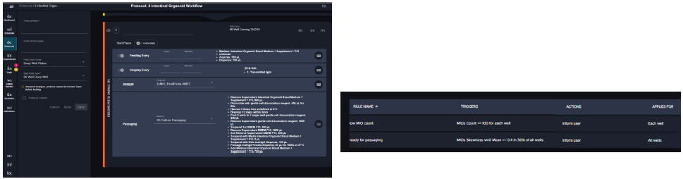 Steps of the organoid culture and passaging software protocol